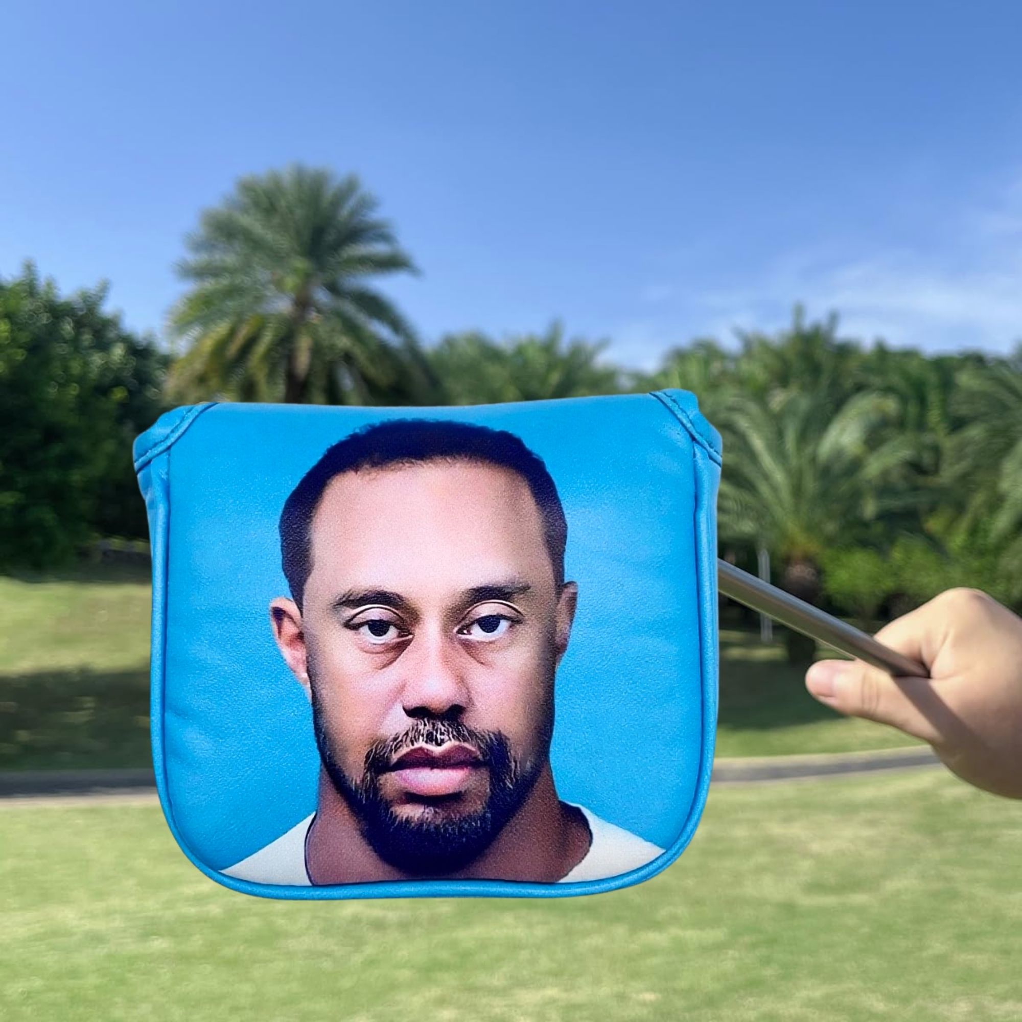 Capa engraçada para cabeça de  - Men'S Accessories Golf avaliação e preço